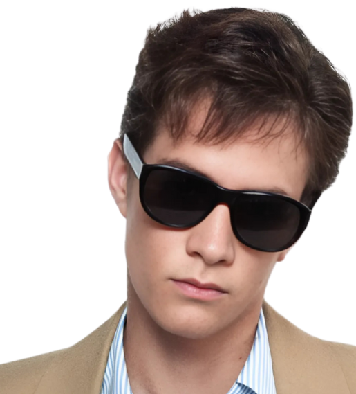 Description of the image