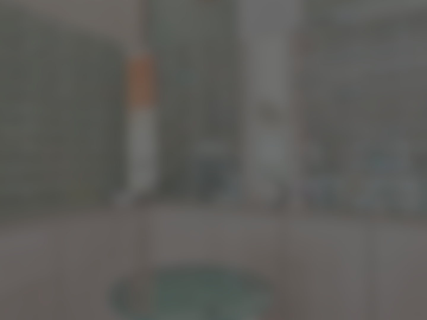 Description of the image